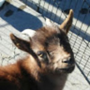 Meet your Posher, Xavier